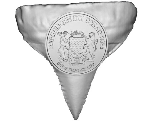 2025 5000franc tchad 50th - 5000franc,